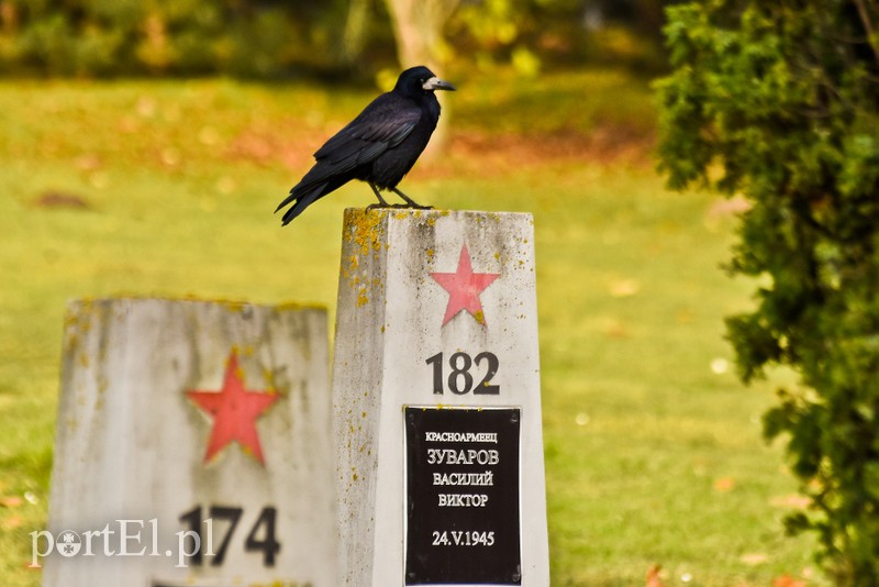 Elblążanie odwiedzają groby bliskich zdjęcie nr 214180