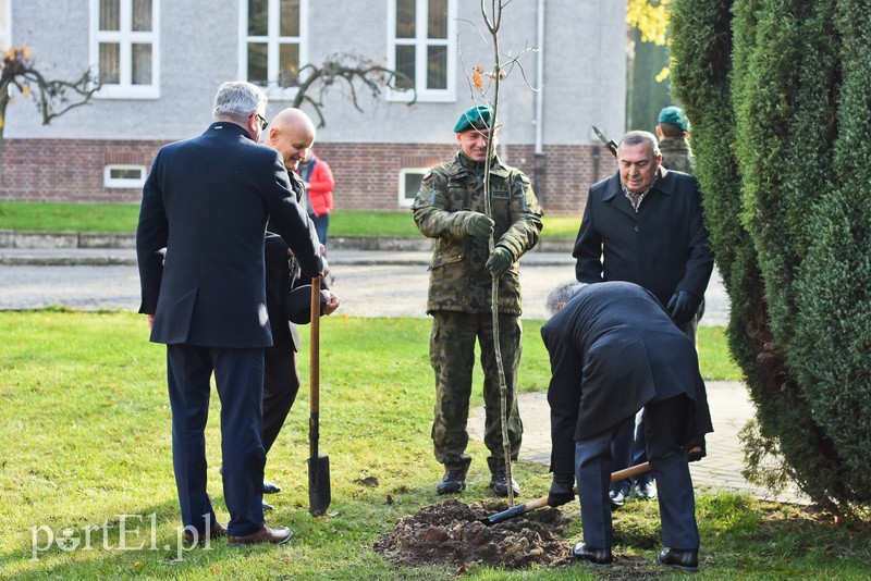 "Pro patria" - szkolą się i modernizują zdjęcie nr 214398