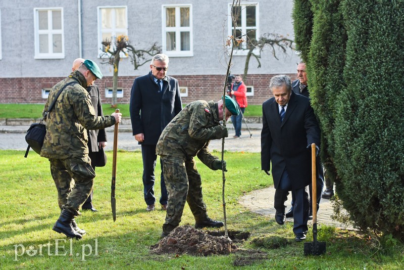 "Pro patria" - szkolą się i modernizują zdjęcie nr 214397