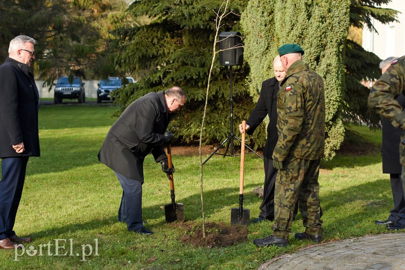 "Pro patria" - szkolą się i modernizują zdjęcie nr 214400