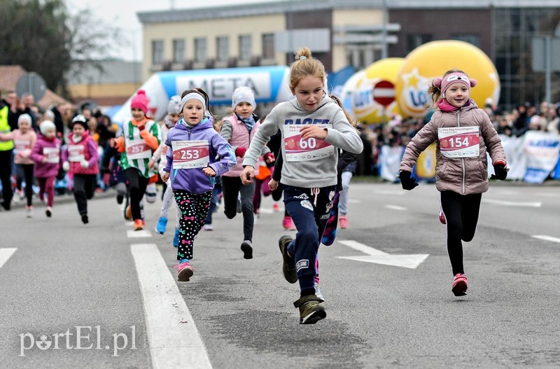  Biegiem uczcili niepodległość zdjęcie nr 214746