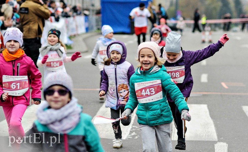  Biegiem uczcili niepodległość zdjęcie nr 214737
