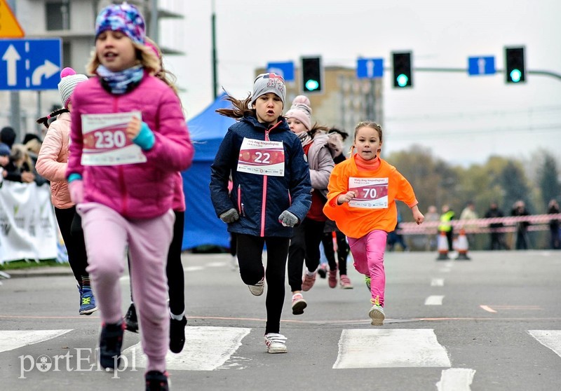  Biegiem uczcili niepodległość zdjęcie nr 214754