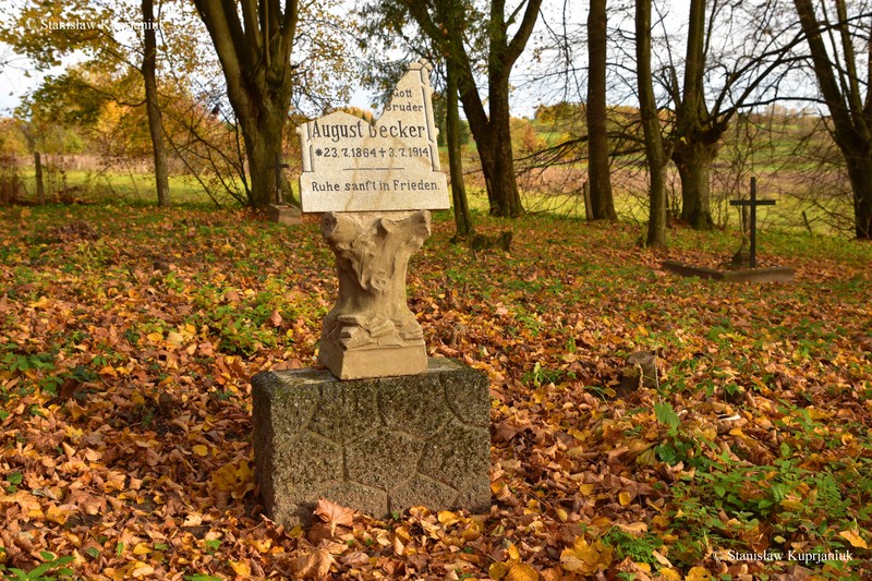 Historii cmentarza ewangelickiego w Lesiskach ciąg dalszy zdjęcie nr 215013