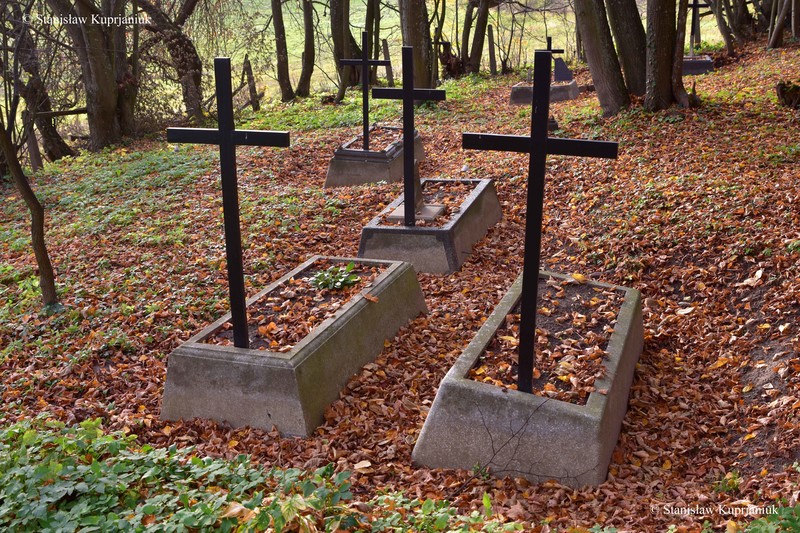 Historii cmentarza ewangelickiego w Lesiskach ciąg dalszy zdjęcie nr 215017