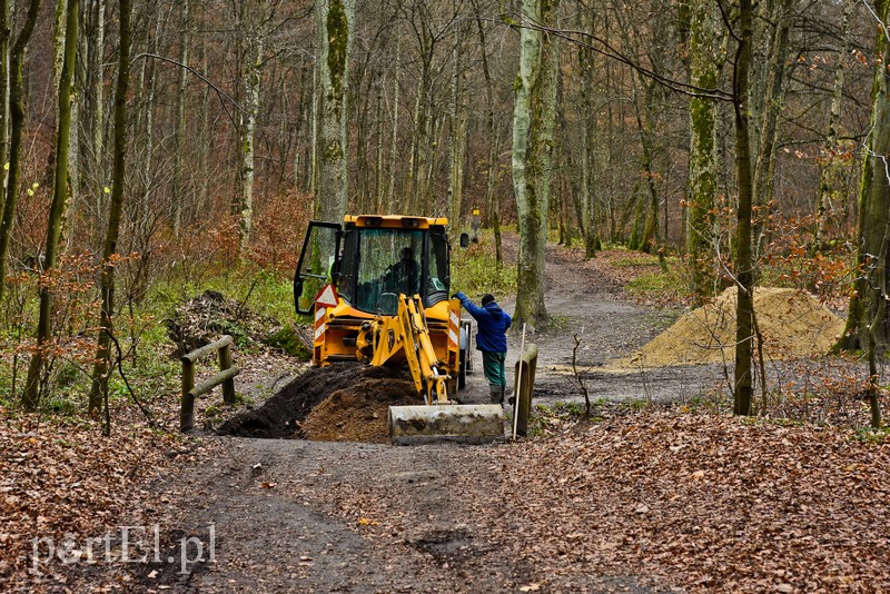 Naprawiają Bażantarnię zdjęcie nr 215166