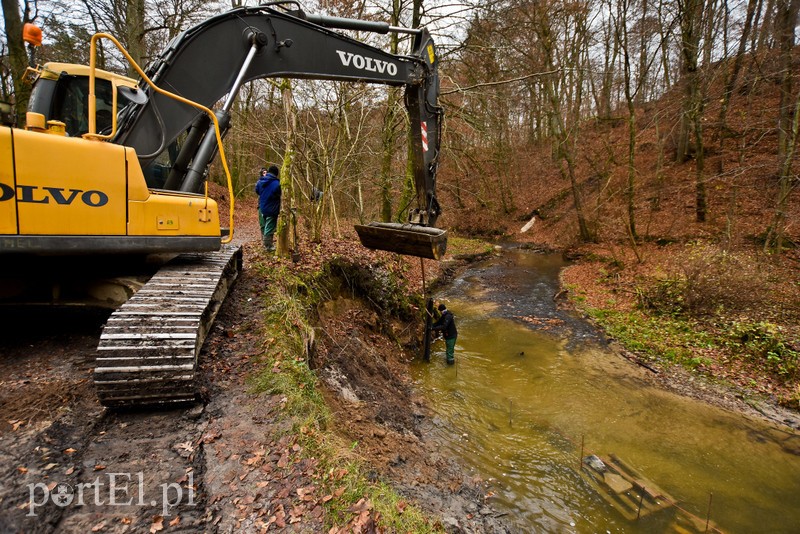 Naprawiają Bażantarnię zdjęcie nr 215155