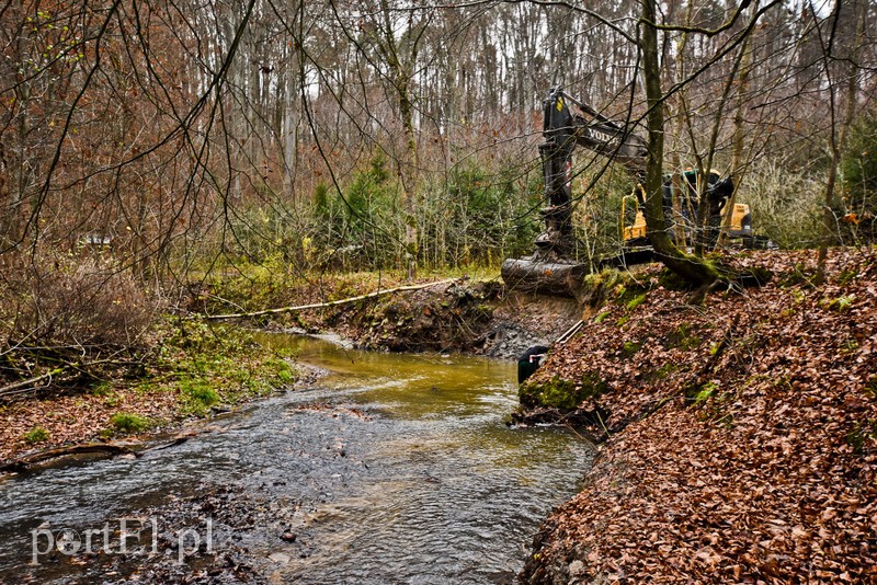 Naprawiają Bażantarnię zdjęcie nr 215159