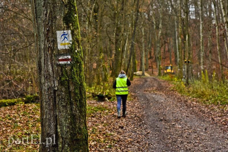 Naprawiają Bażantarnię zdjęcie nr 215163