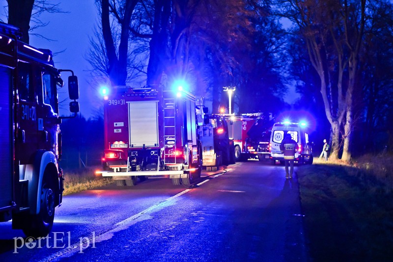 Fiat uderzył w drzewo pod Milejewem zdjęcie nr 216626