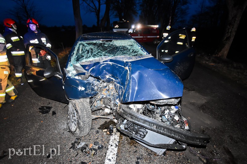 Fiat uderzył w drzewo pod Milejewem zdjęcie nr 216631