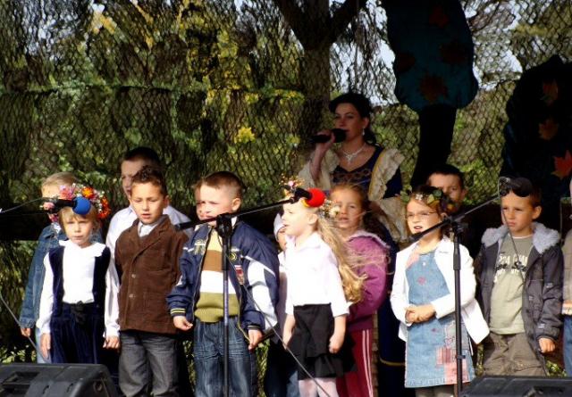 Dożynkowe święto z kuglarzami w tle zdjęcie nr 17482