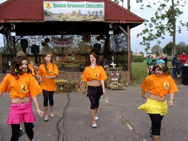 Dożynkowe święto z kuglarzami w tle zdjęcie nr 17492