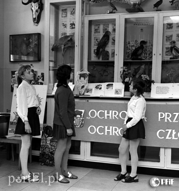 Edukacja w latach 70. na zdjęciach Czesława Misiuka zdjęcie nr 217246