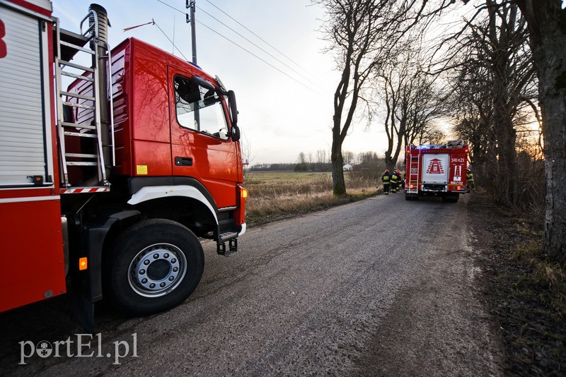 19-latka uderzyła w drzewo zdjęcie nr 217360