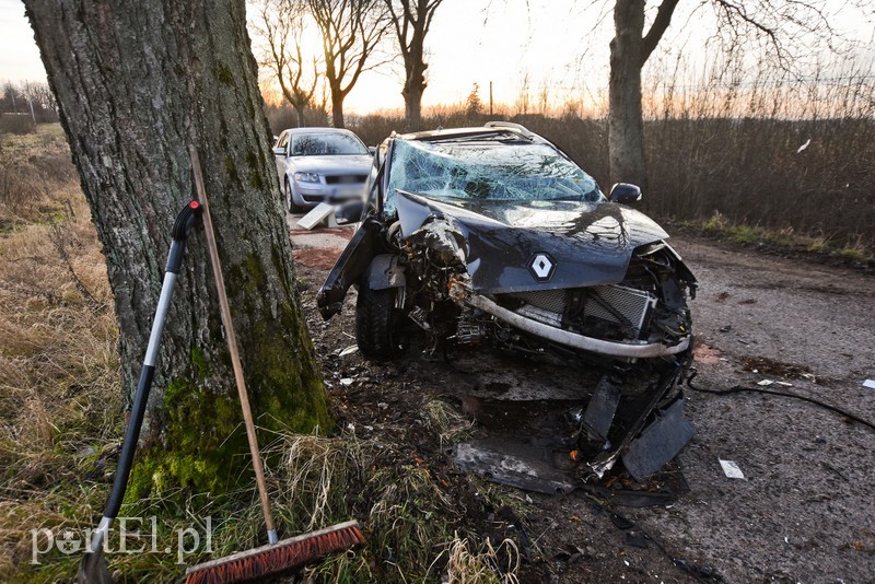 19-latka uderzyła w drzewo zdjęcie nr 217361