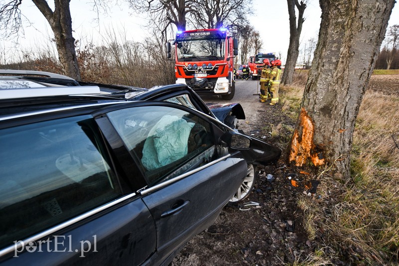 19-latka uderzyła w drzewo zdjęcie nr 217363