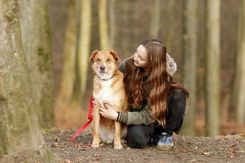 Galeria pod psem i kotem (Odc.82) zdjęcie nr 217405