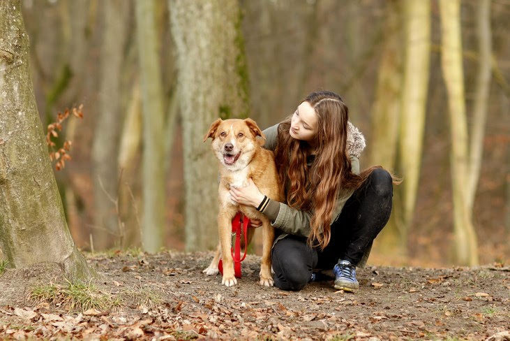 Galeria pod psem i kotem (Odc.82) zdjęcie nr 217404