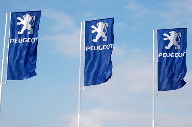 Dni otwarte Peugeot w Elblągu zdjęcie nr 17568