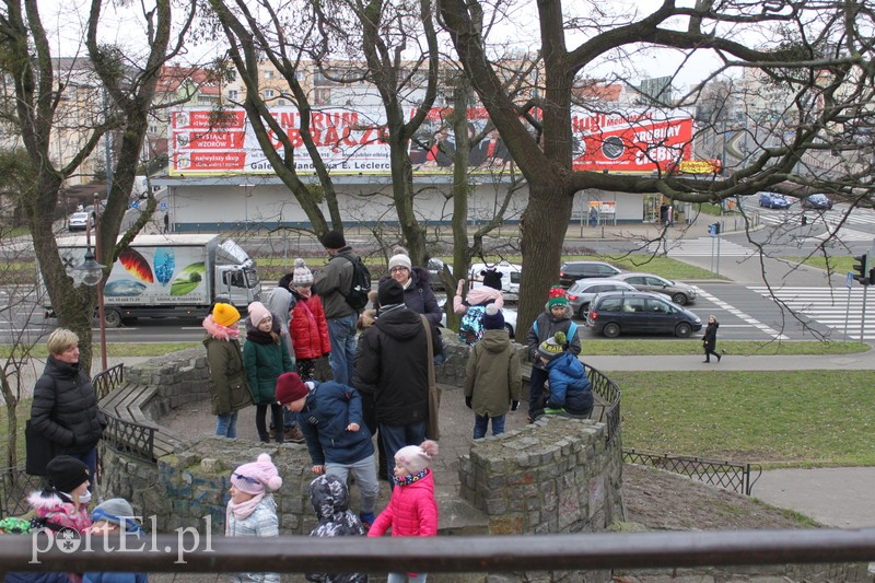 Wielkie liczenie ptaków zdjęcie nr 219907