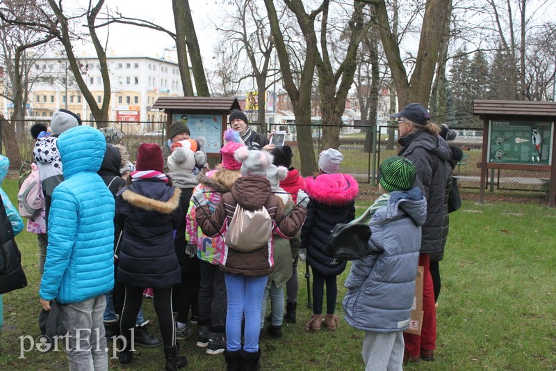 Wielkie liczenie ptaków zdjęcie nr 219912