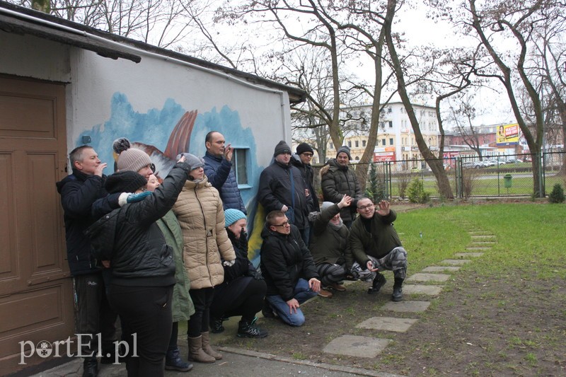 Wielkie liczenie ptaków zdjęcie nr 219914