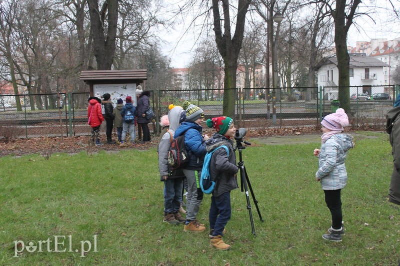 Wielkie liczenie ptaków zdjęcie nr 219897