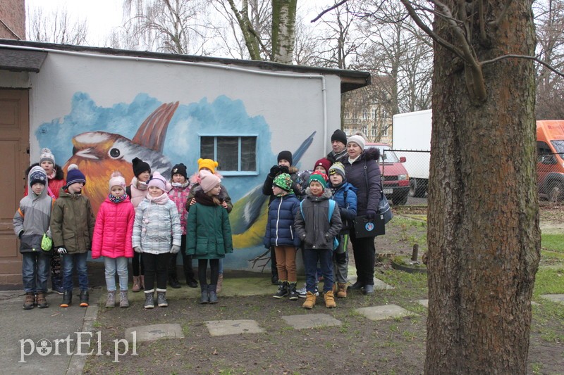 Wielkie liczenie ptaków zdjęcie nr 219910