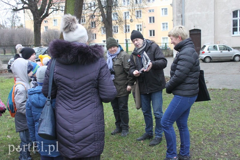 Wielkie liczenie ptaków zdjęcie nr 219900