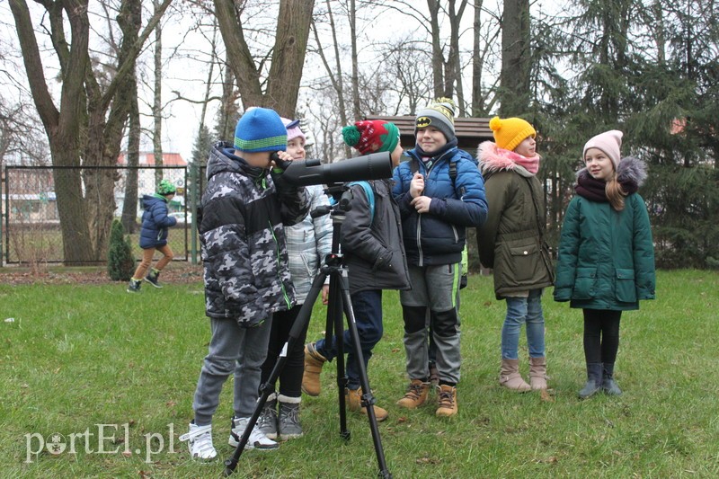 Wielkie liczenie ptaków zdjęcie nr 219896