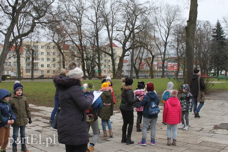 Wielkie liczenie ptaków zdjęcie nr 219904