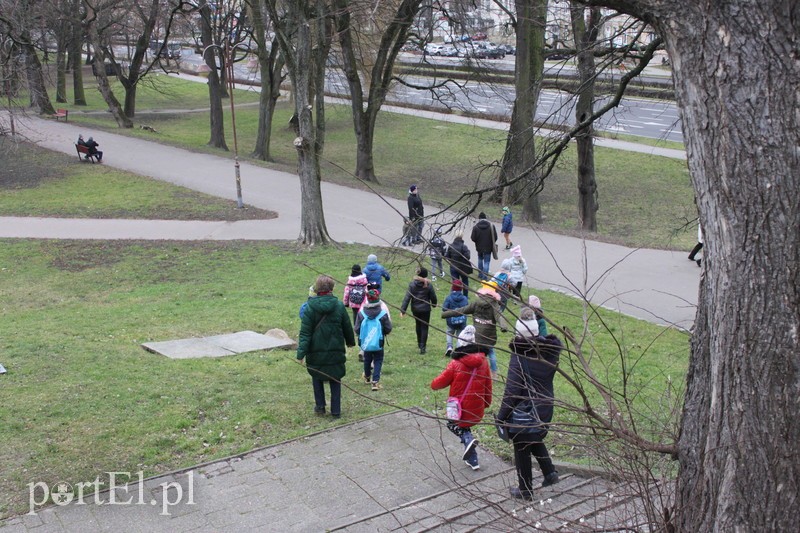 Wielkie liczenie ptaków zdjęcie nr 219908