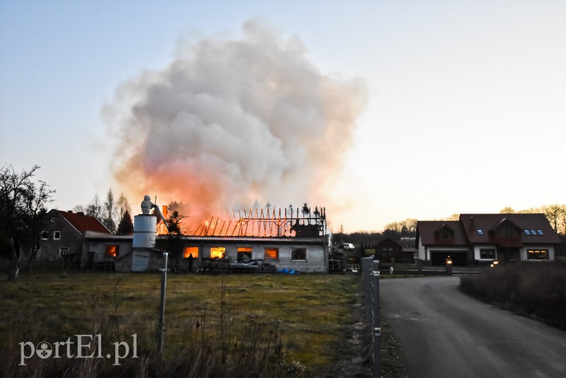 Pali się stolarnia w Dąbrowie, z ogniem walczy około 30 strażaków. zdjęcie nr 220441