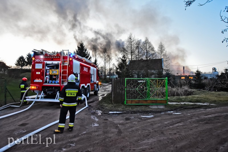 Pali się stolarnia w Dąbrowie, z ogniem walczy około 30 strażaków. zdjęcie nr 220470