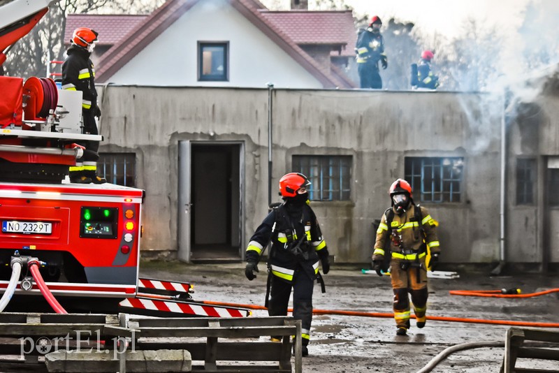 Pali się stolarnia w Dąbrowie, z ogniem walczy około 30 strażaków. zdjęcie nr 220466
