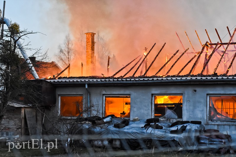 Pali się stolarnia w Dąbrowie, z ogniem walczy około 30 strażaków. zdjęcie nr 220443