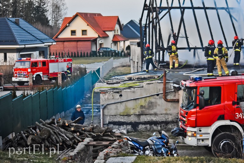 Pali się stolarnia w Dąbrowie, z ogniem walczy około 30 strażaków. zdjęcie nr 220478