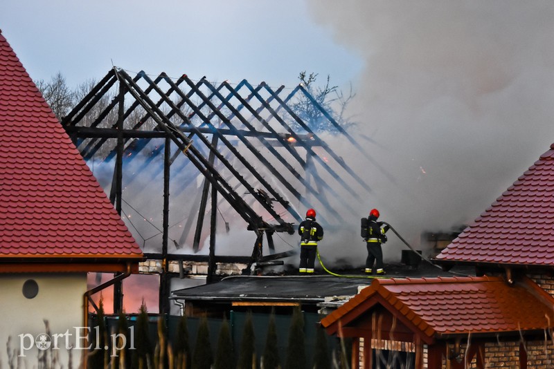 Pali się stolarnia w Dąbrowie, z ogniem walczy około 30 strażaków. zdjęcie nr 220450