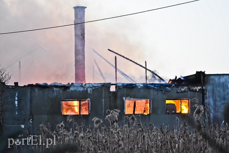 Pali się stolarnia w Dąbrowie, z ogniem walczy około 30 strażaków. zdjęcie nr 220471