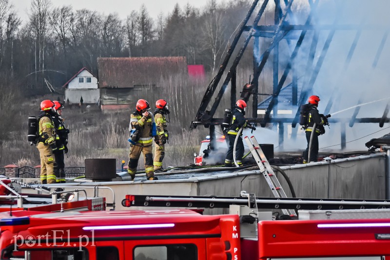 Pali się stolarnia w Dąbrowie, z ogniem walczy około 30 strażaków. zdjęcie nr 220477
