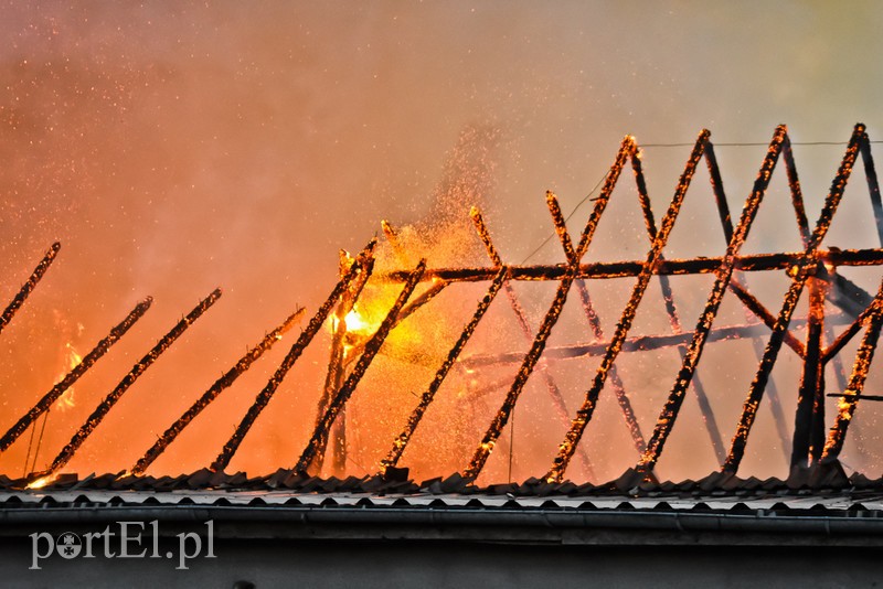Pali się stolarnia w Dąbrowie, z ogniem walczy około 30 strażaków. zdjęcie nr 220444