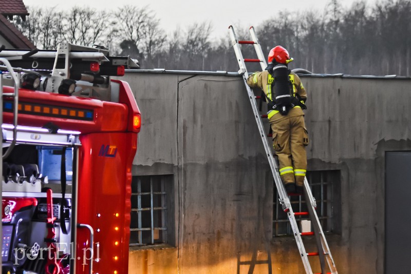 Pali się stolarnia w Dąbrowie, z ogniem walczy około 30 strażaków. zdjęcie nr 220459
