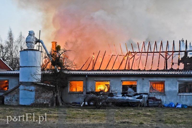 Pali się stolarnia w Dąbrowie, z ogniem walczy około 30 strażaków. zdjęcie nr 220442