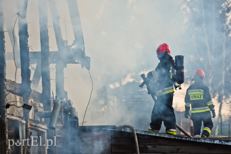 Pali się stolarnia w Dąbrowie, z ogniem walczy około 30 strażaków. zdjęcie nr 220482