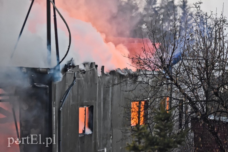 Pali się stolarnia w Dąbrowie, z ogniem walczy około 30 strażaków. zdjęcie nr 220464
