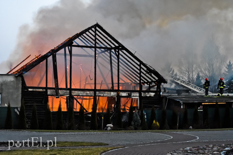 Pali się stolarnia w Dąbrowie, z ogniem walczy około 30 strażaków. zdjęcie nr 220449