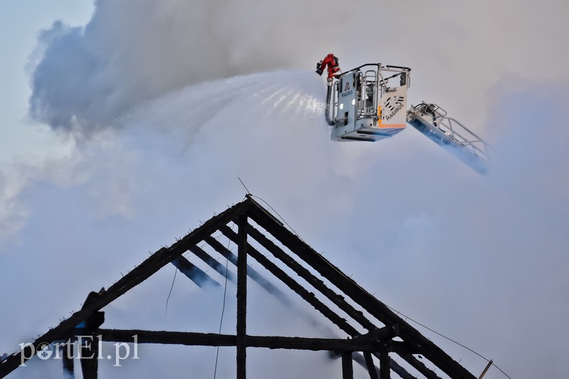 Pali się stolarnia w Dąbrowie, z ogniem walczy około 30 strażaków. zdjęcie nr 220480