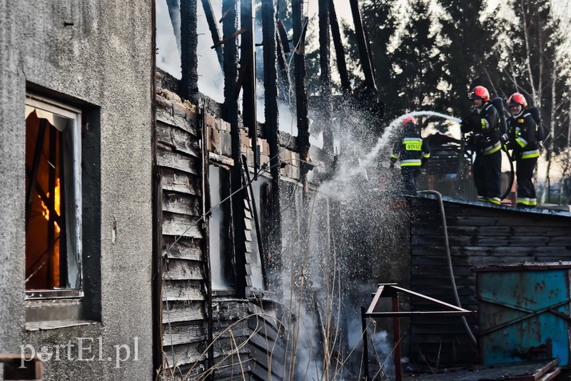 Pali się stolarnia w Dąbrowie, z ogniem walczy około 30 strażaków. zdjęcie nr 220484