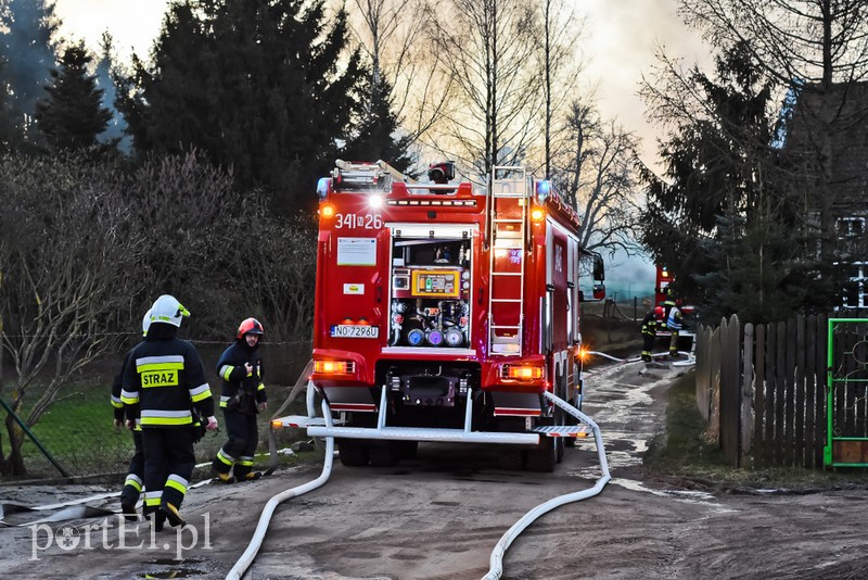 Pali się stolarnia w Dąbrowie, z ogniem walczy około 30 strażaków. zdjęcie nr 220469